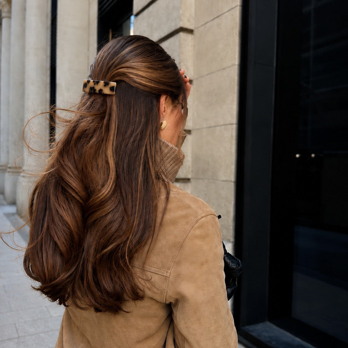 Pasador de pelo