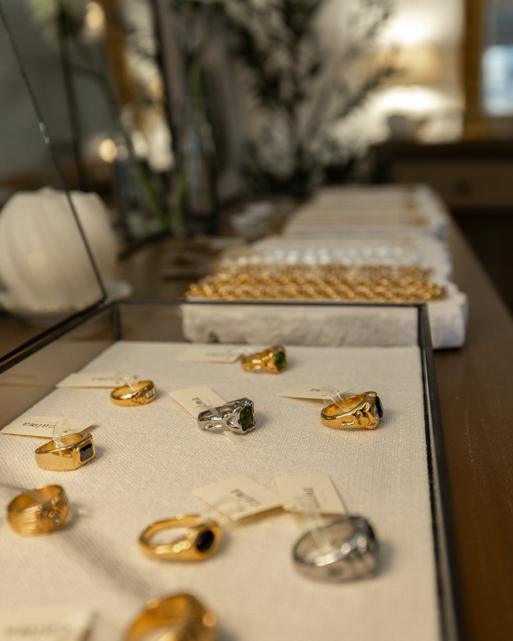 Visita a Maison Calma