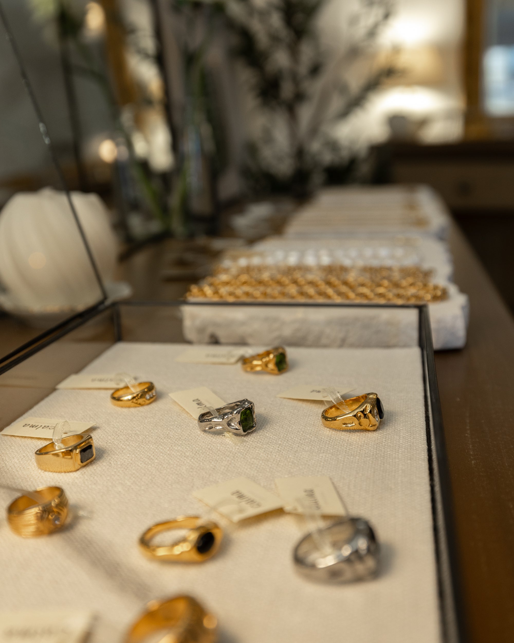 Visita a Maison Calma